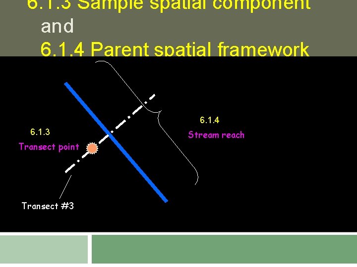 6. 1. 3 Sample spatial component and 6. 1. 4 Parent spatial framework 6.