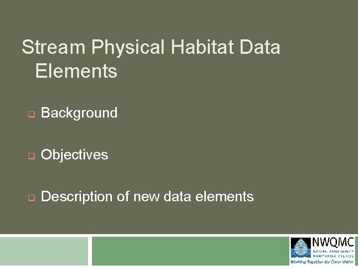 Stream Physical Habitat Data Elements q Background q Objectives q Description of new data