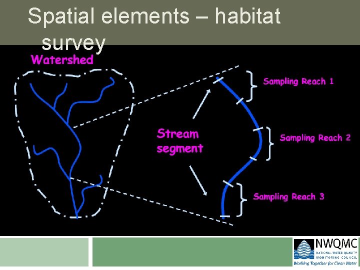 Spatial elements – habitat survey 