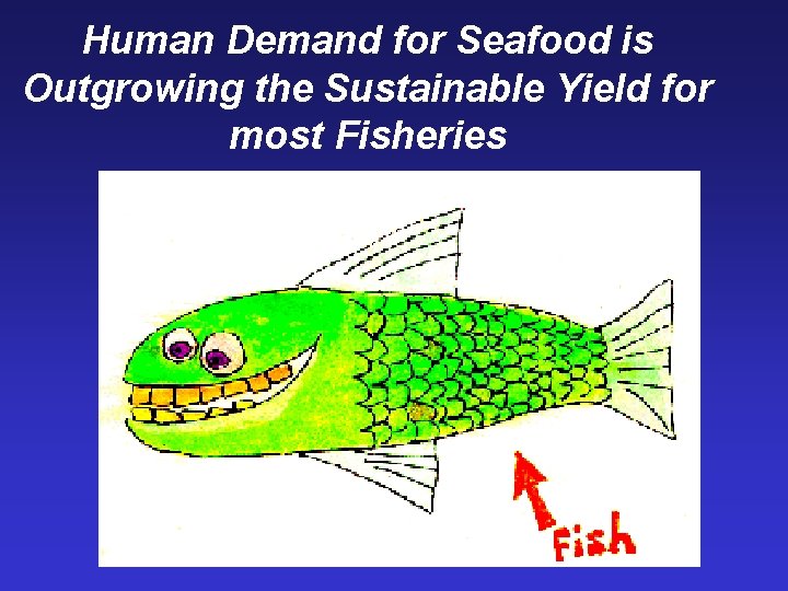 Human Demand for Seafood is Outgrowing the Sustainable Yield for most Fisheries 