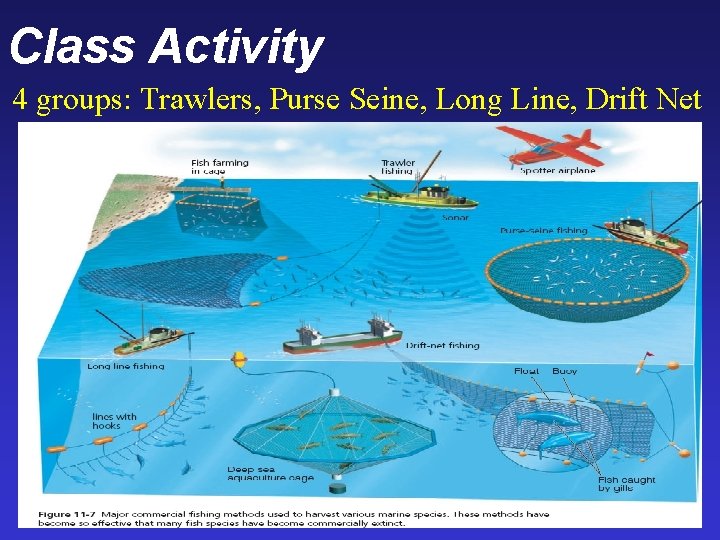 Class Activity 4 groups: Trawlers, Purse Seine, Long Line, Drift Net 