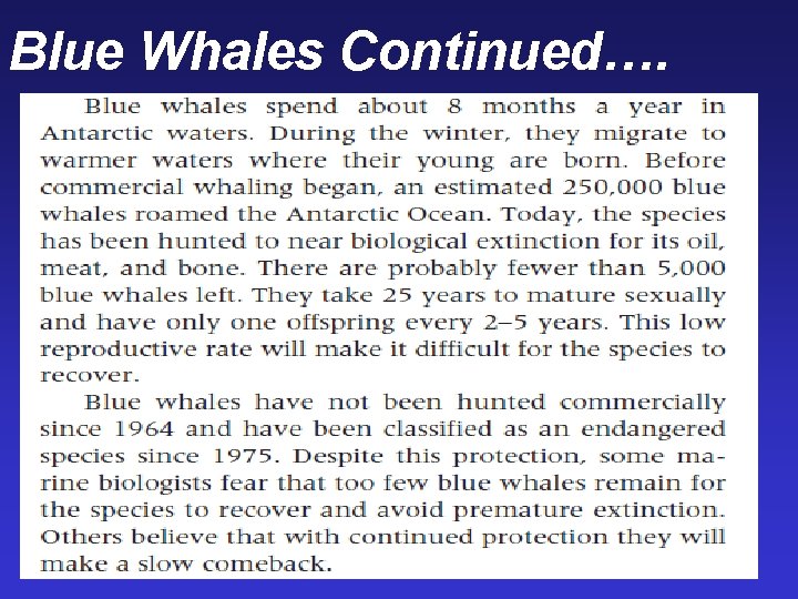 Blue Whales Continued…. Blue Whales Continued….
