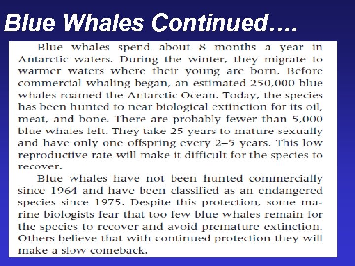 Blue Whales Continued…. 