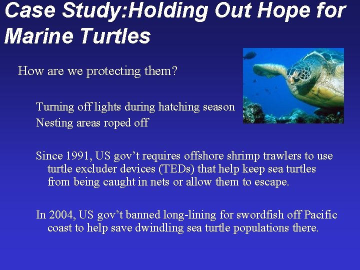 Case Study: Holding Out Hope for Marine Turtles How are we protecting them? Turning