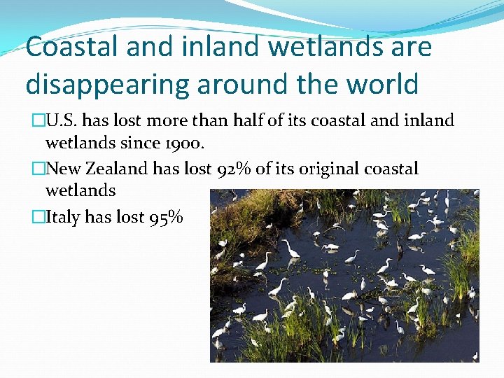 Coastal and inland wetlands are disappearing around the world �U. S. has lost more