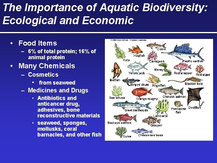 The Importance of Aquatic Biodiversity: Ecological and Economic • Food Items – 6% of