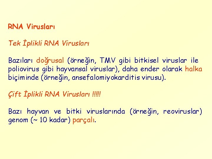 RNA Virusları Tek İplikli RNA Virusları Bazıları doğrusal (örneğin, TMV gibi bitkisel viruslar ile