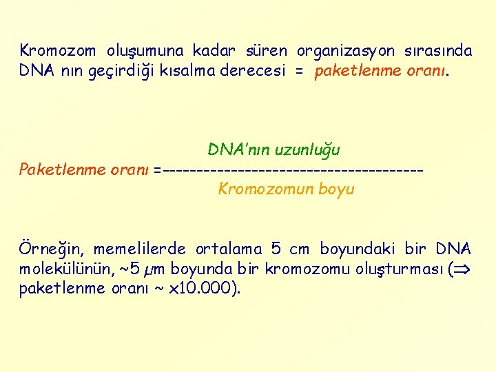 Kromozom oluşumuna kadar süren organizasyon sırasında DNA nın geçirdiği kısalma derecesi = paketlenme oranı.