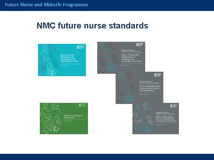 Future Nurse and Midwife Programme NMC future nurse standards 