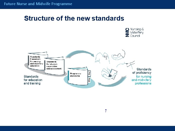 Future Nurse and Midwife Programme Structure of the new standards / 
