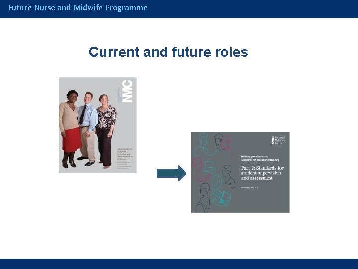 Future Nurse and Midwife Programme Current and future roles 
