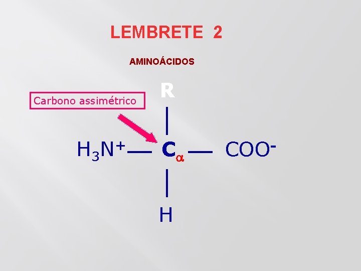 LEMBRETE 2 AMINOÁCIDOS Carbono assimétrico H 3 N+ R C H COO- 