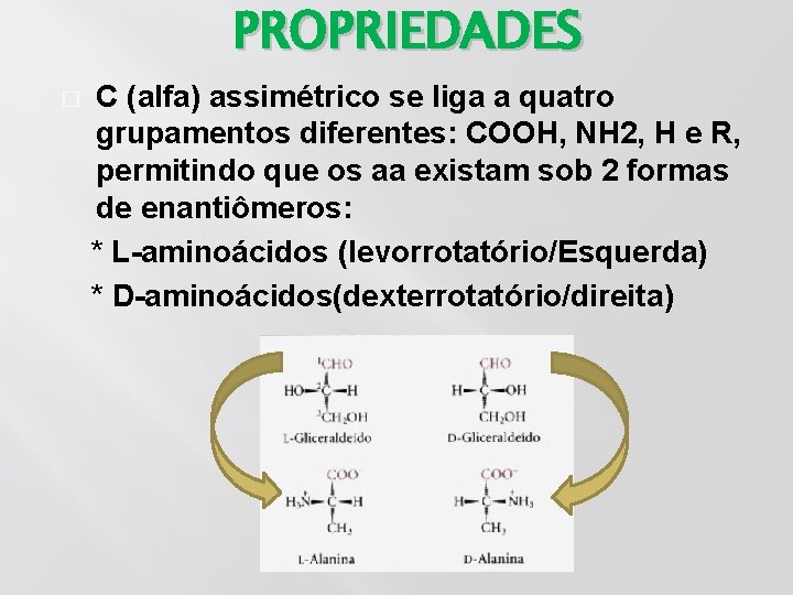 PROPRIEDADES � C (alfa) assimétrico se liga a quatro grupamentos diferentes: COOH, NH 2,