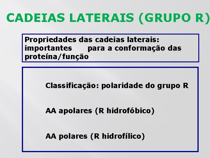 CADEIAS LATERAIS (GRUPO R) Propriedades das cadeias laterais: importantes para a conformação das proteína/função