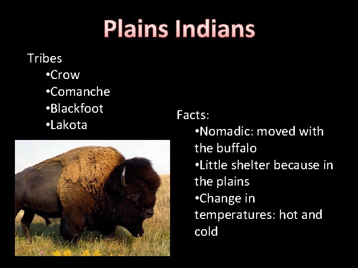 Plains Indians Tribes • Crow • Comanche • Blackfoot • Lakota Facts: • Nomadic: