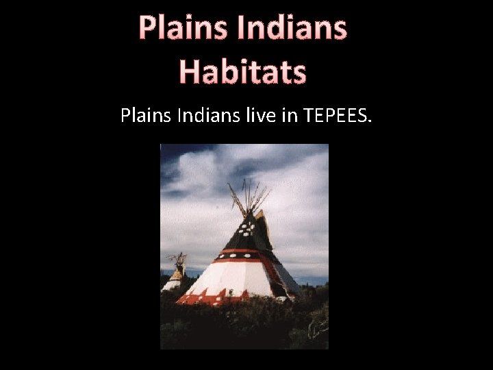 Plains Indians Habitats Plains Indians live in TEPEES. 