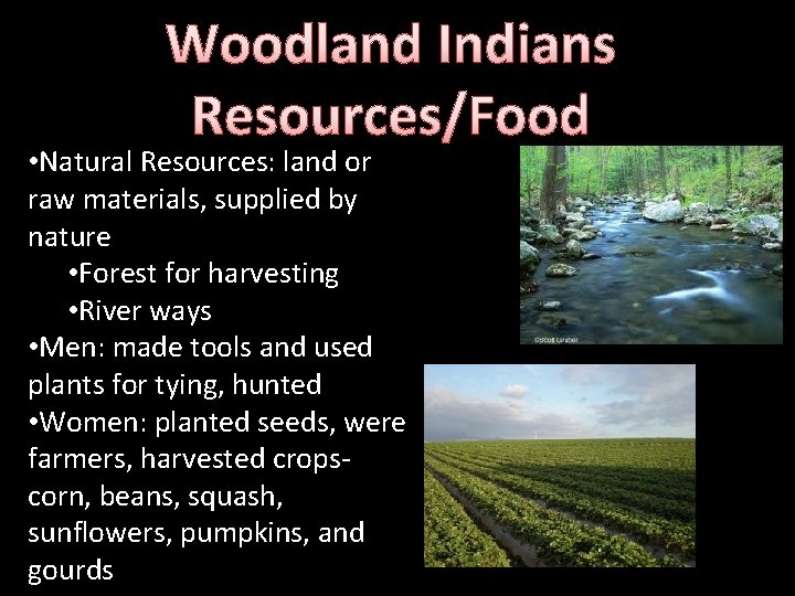 Woodland Indians Resources/Food • Natural Resources: land or raw materials, supplied by nature •