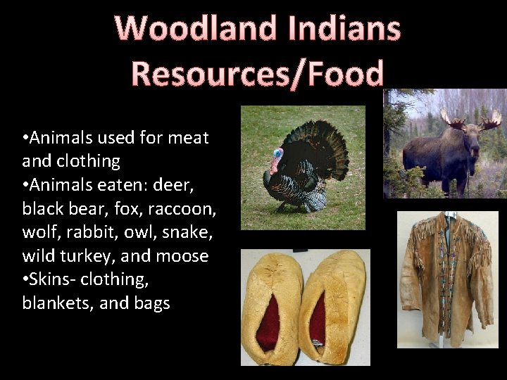 Woodland Indians Resources/Food • Animals used for meat and clothing • Animals eaten: deer,