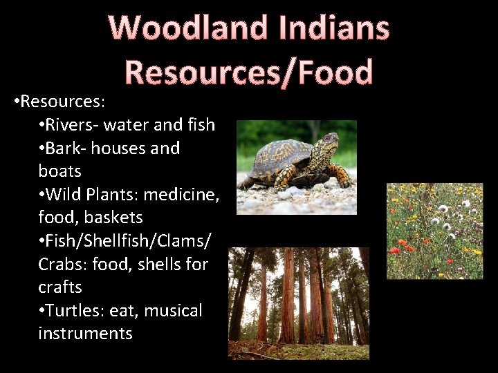 Woodland Indians Resources/Food • Resources: • Rivers- water and fish • Bark- houses and