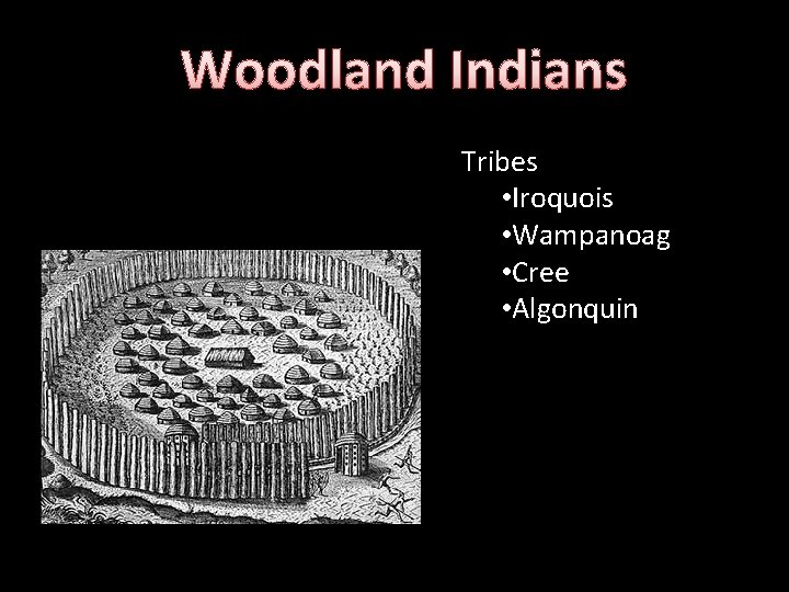 Woodland Indians Tribes • Iroquois • Wampanoag • Cree • Algonquin 