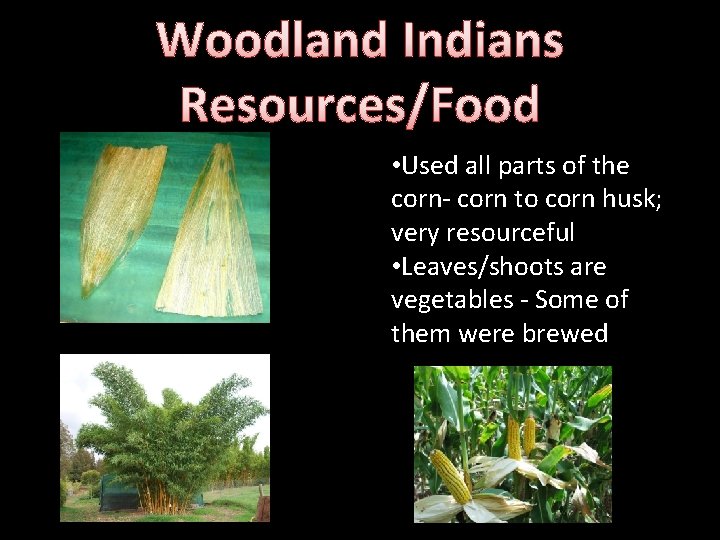 Woodland Indians Resources/Food • Used all parts of the corn- corn to corn husk;