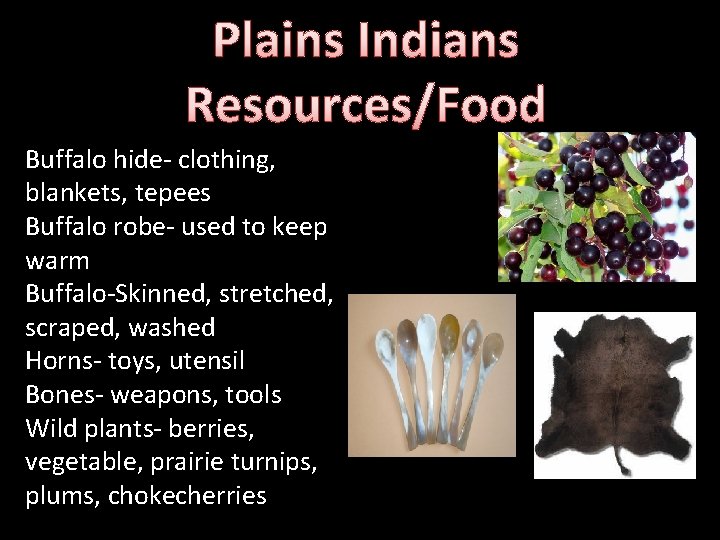 Plains Indians Resources/Food Buffalo hide- clothing, blankets, tepees Buffalo robe- used to keep warm