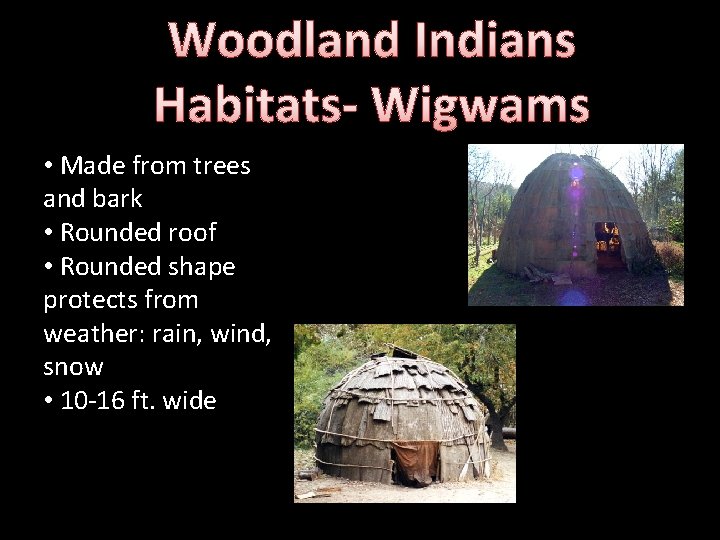 Woodland Indians Habitats- Wigwams • Made from trees and bark • Rounded roof •