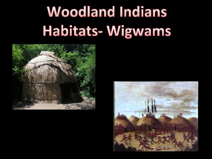 Woodland Indians Habitats- Wigwams 