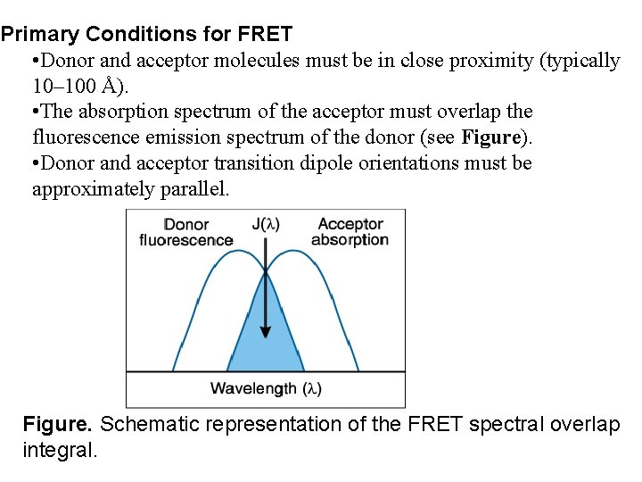 Primary Conditions for FRET • Donor and acceptor molecules must be in close proximity