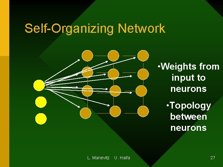 Self-Organizing Network • Weights from input to neurons • Topology between neurons L. Manevitz Self-Organizing Network • Weights from input to neurons • Topology between neurons L. Manevitz
