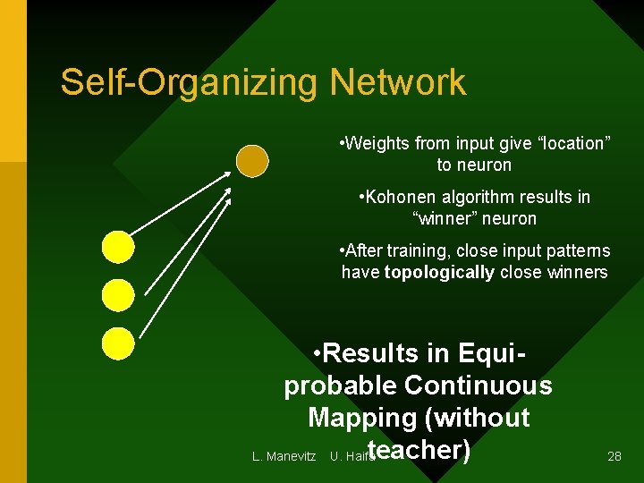 Self-Organizing Network • Weights from input give “location” to neuron • Kohonen algorithm results Self-Organizing Network • Weights from input give “location” to neuron • Kohonen algorithm results