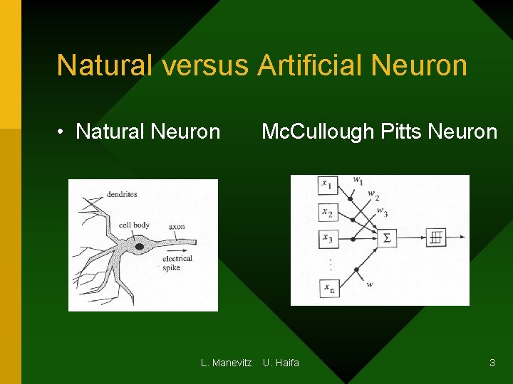 Natural versus Artificial Neuron • Natural Neuron L. Manevitz Mc. Cullough Pitts Neuron U. Natural versus Artificial Neuron • Natural Neuron L. Manevitz Mc. Cullough Pitts Neuron U.