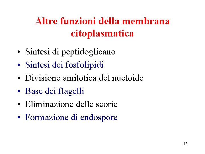 Altre funzioni della membrana citoplasmatica • • • Sintesi di peptidoglicano Sintesi dei fosfolipidi