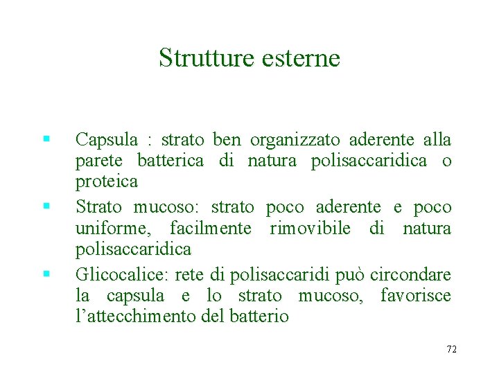 Strutture esterne § § § Capsula : strato ben organizzato aderente alla parete batterica