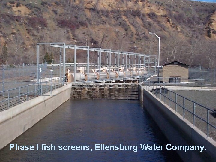 n Add image of Phase I structure here. Phase I fish screens, Ellensburg Water