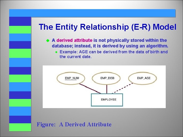The Entity Relationship (E-R) Model u A derived attribute is not physically stored within