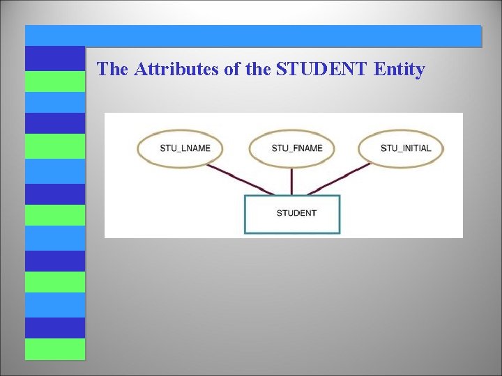 The Attributes of the STUDENT Entity The Attributes of the STUDENT Entity