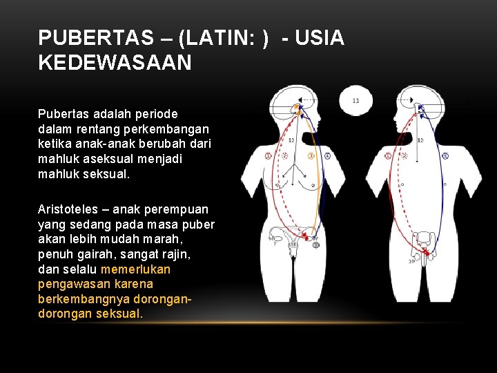 PUBERTAS – (LATIN: ) - USIA KEDEWASAAN Pubertas adalah periode dalam rentang perkembangan ketika