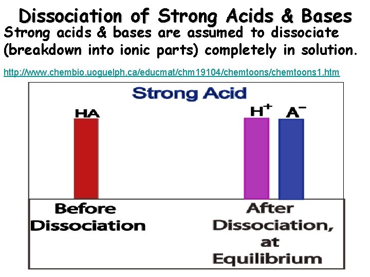Dissociation of Strong Acids & Bases Strong acids & bases are assumed to dissociate