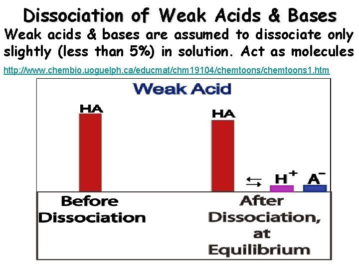 Dissociation of Weak Acids & Bases Weak acids & bases are assumed to dissociate