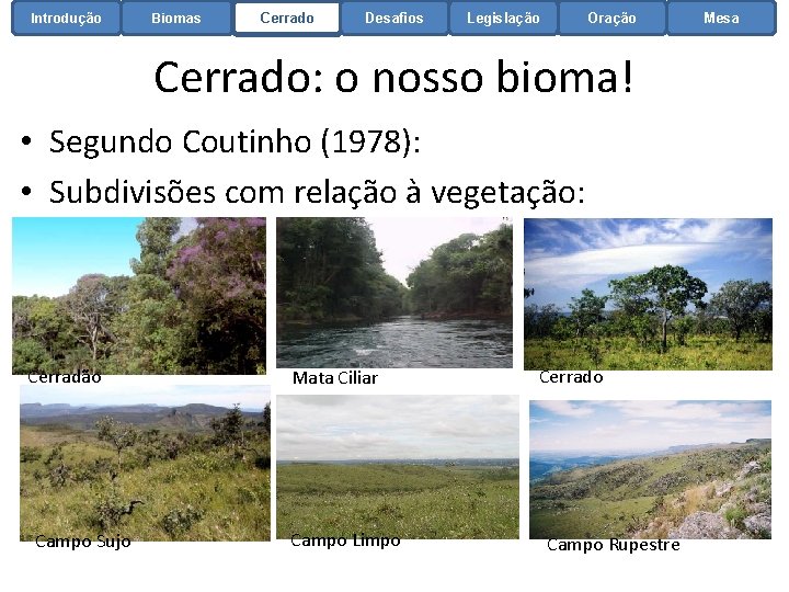 Introdução Biomas Cerrado Desafios Legislação Oração Cerrado: o nosso bioma! • Segundo Coutinho (1978):