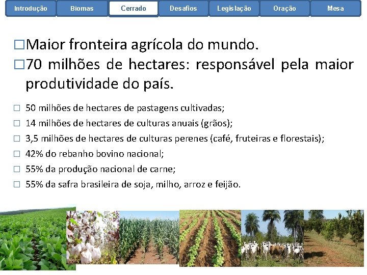 Introdução Biomas Cerrado Desafios Legislação Oração Mesa �Maior fronteira agrícola do mundo. � 70