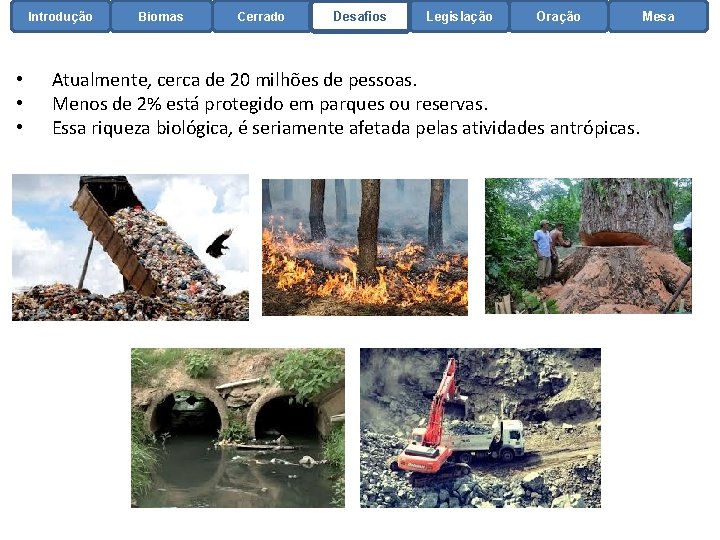 Introdução • • • Biomas Cerrado Desafios Legislação Oração Atualmente, cerca de 20 milhões