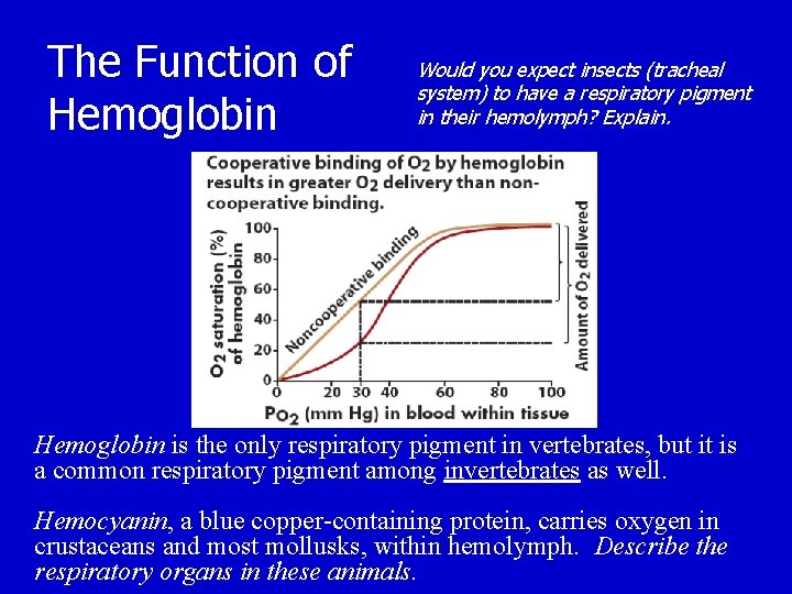 The Function of Hemoglobin Would you expect insects (tracheal system) to have a respiratory