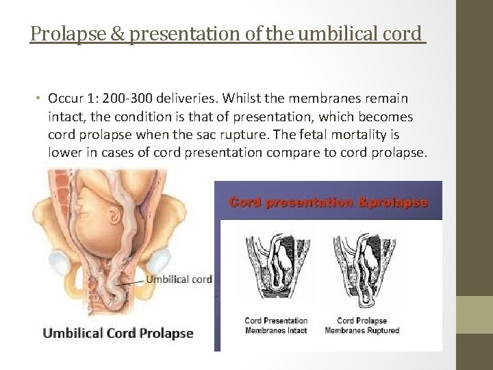 Prolapse & presentation of the umbilical cord • Occur 1: 200 -300 deliveries. Whilst