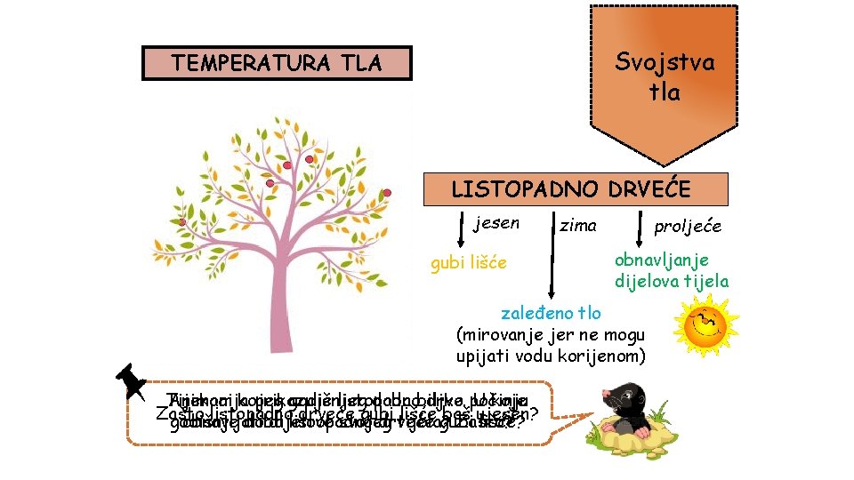 Svojstva tla TEMPERATURA TLA LISTOPADNO DRVEĆE jesen gubi lišće zima proljeće obnavljanje dijelova tijela