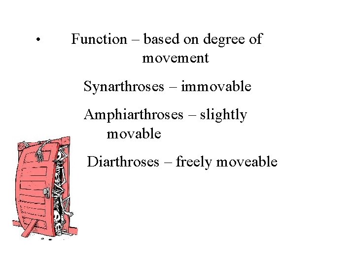  • Function – based on degree of movement Synarthroses – immovable Amphiarthroses –