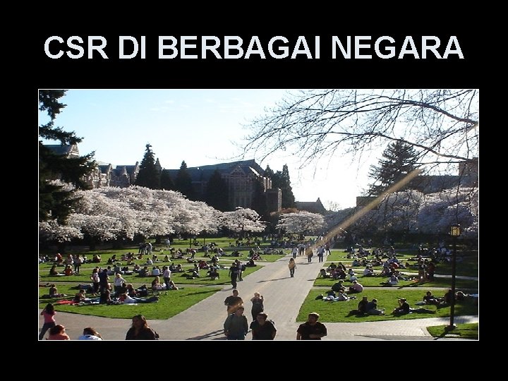 CSR DI BERBAGAI NEGARA 