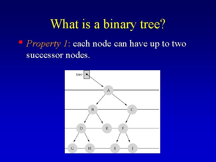 What is a binary tree? • Property 1: each node can have up to