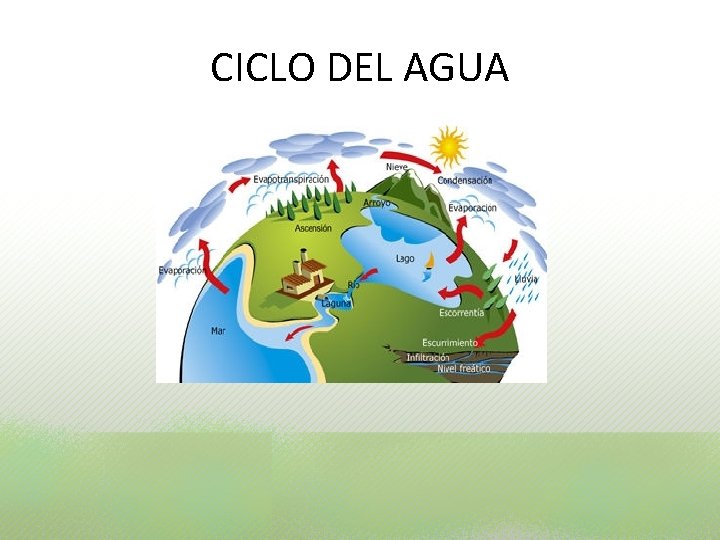 CICLO DEL AGUA CICLO DEL AGUA